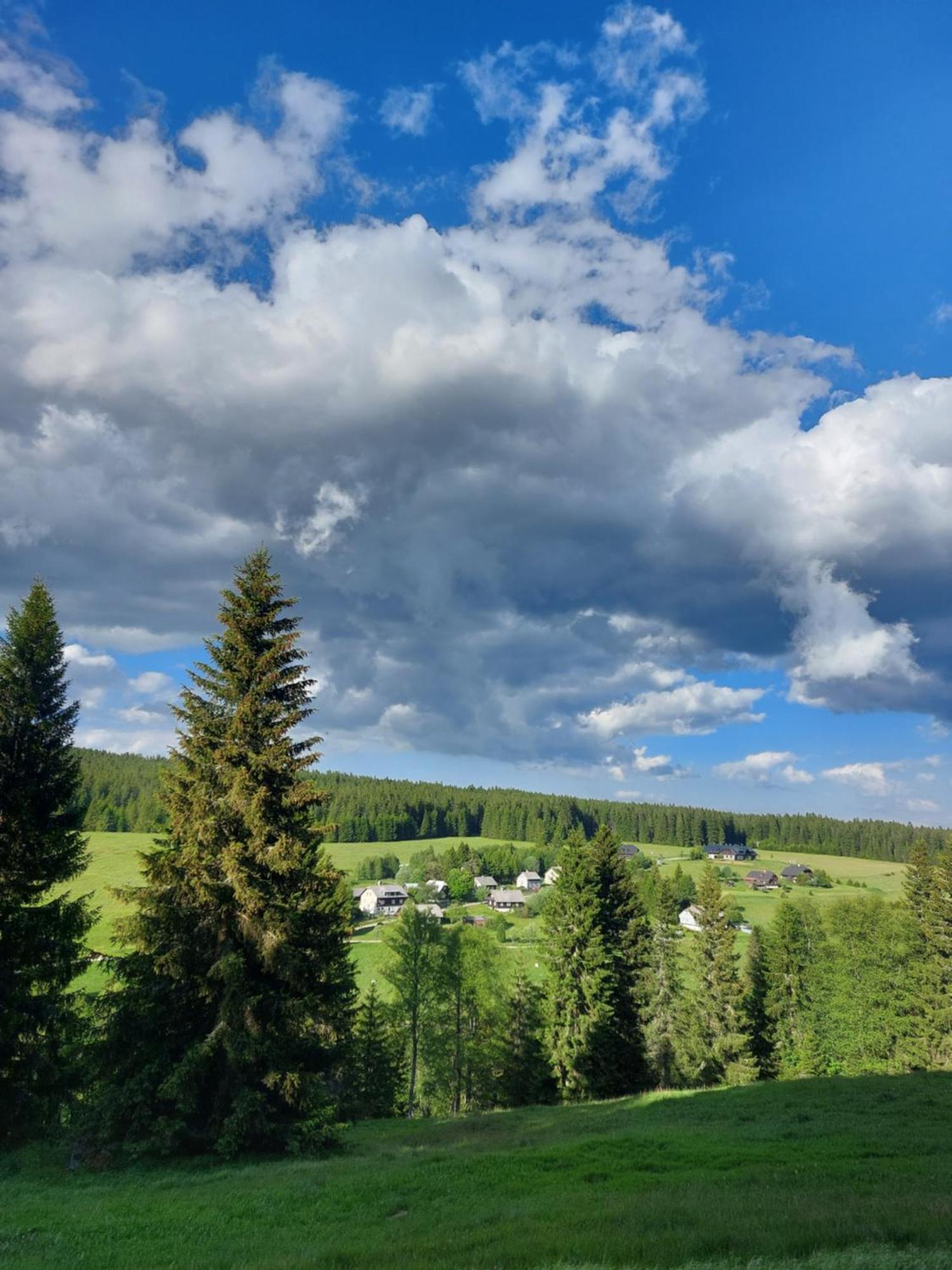 Wellness Chata Rosnatka Kvilda Exteriör bild