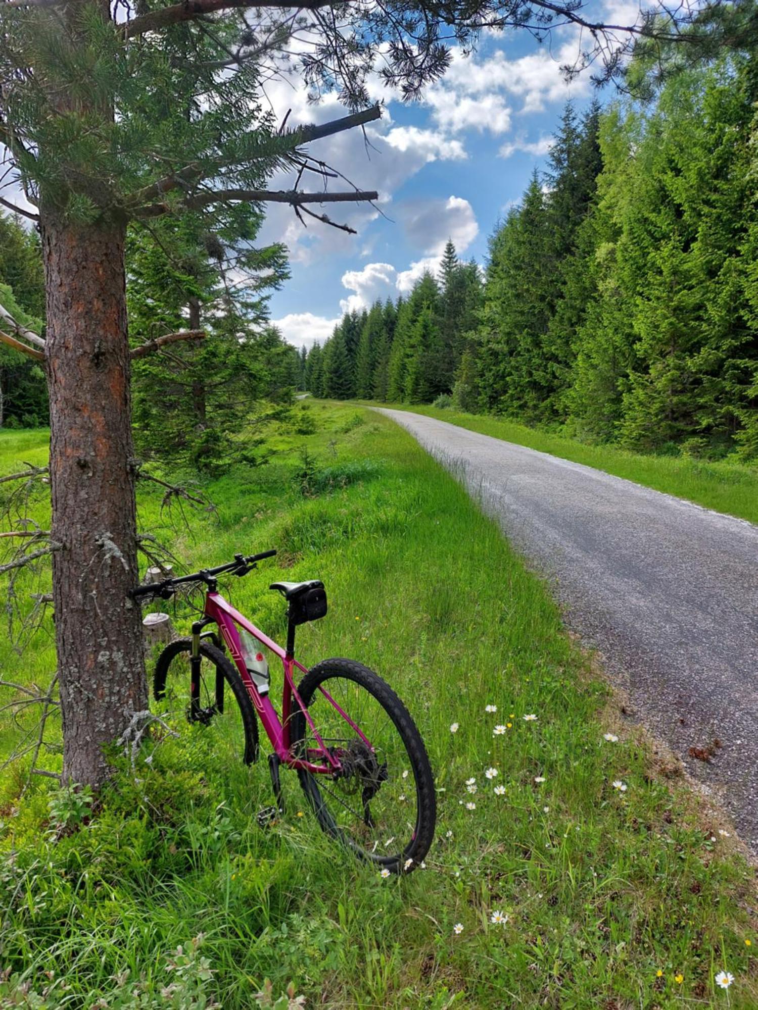 Wellness Chata Rosnatka Kvilda Exteriör bild