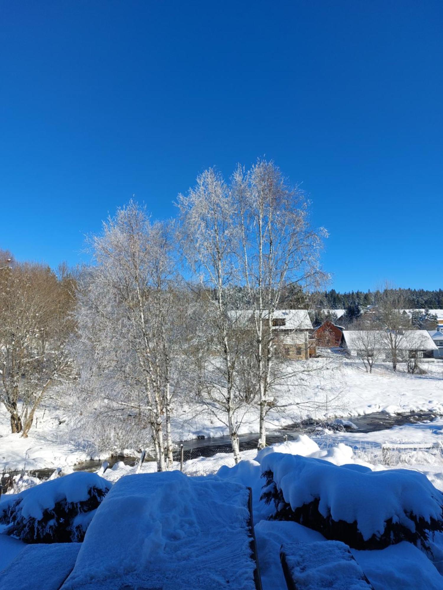 Wellness Chata Rosnatka Kvilda Exteriör bild
