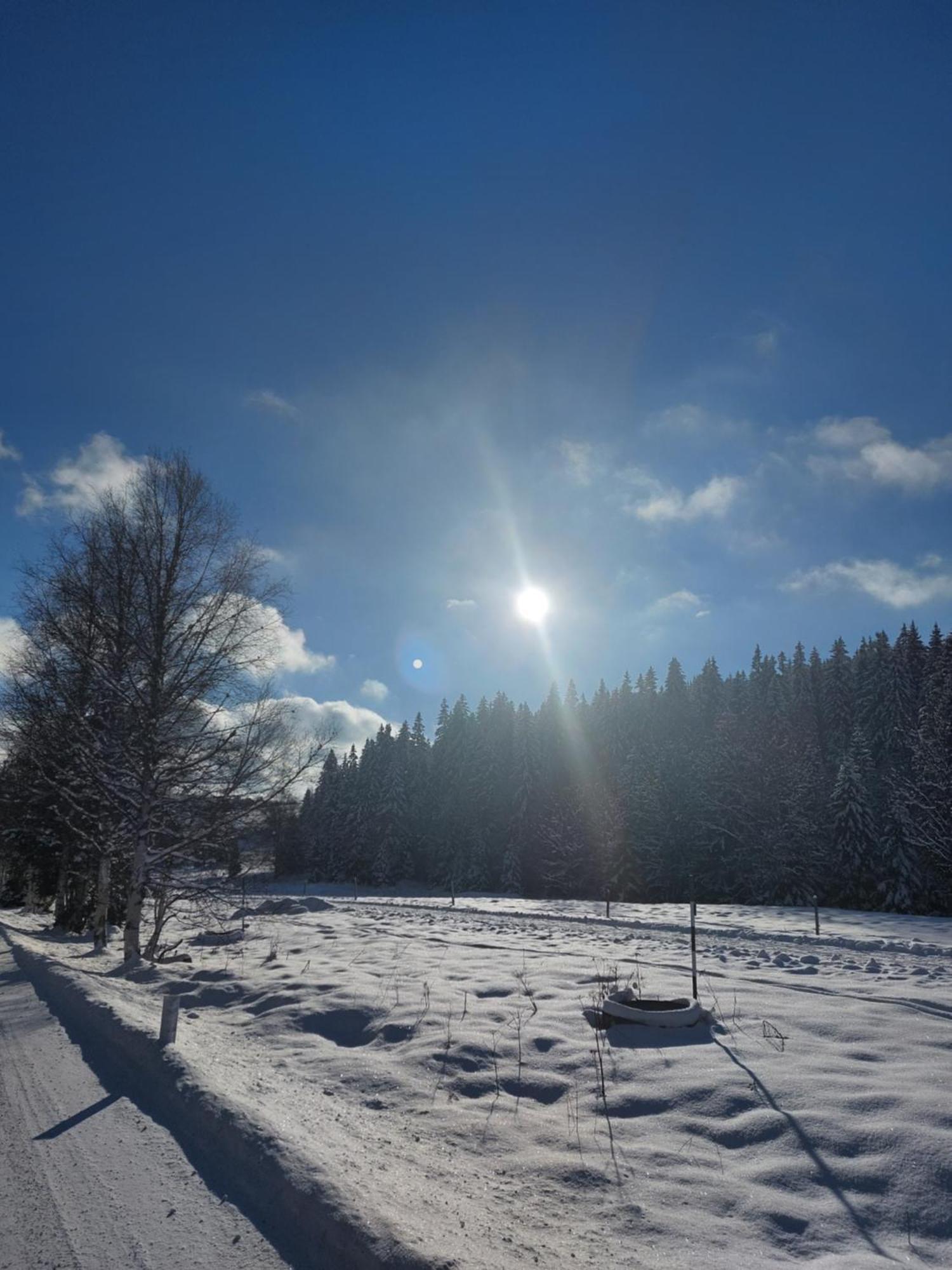 Wellness Chata Rosnatka Kvilda Exteriör bild