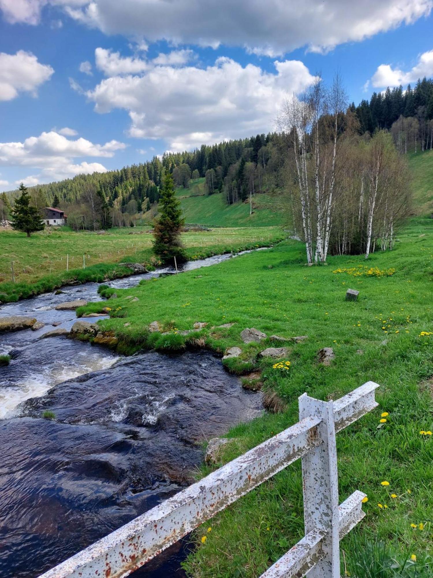 Wellness Chata Rosnatka Kvilda Exteriör bild